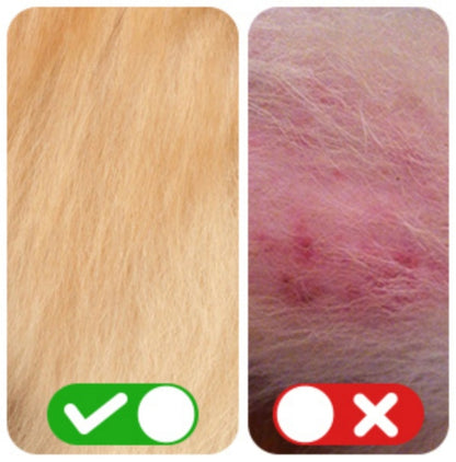 Automatic Pet Foam Dispenser